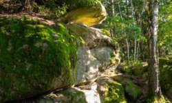 Erste Felsen Erste Felsen