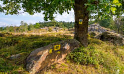 Runde Nr. 41 Runde Nr. 41