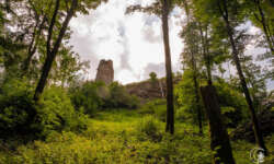 Ruine Reichenstein Ruine Reichenstein