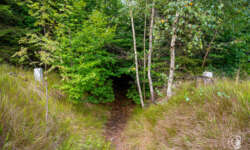 Der Sautreiberpfad Der Sautreiberpfad