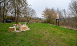 Grillplatz am Parkplatz Grillplatz am Parkplatz