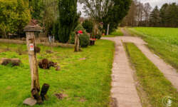 In die Natur hinaus In die Natur hinaus