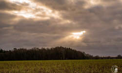 Sonnenstrahlen Sonnenstrahlen