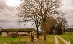 Kunst und Stall Kunst und Stall