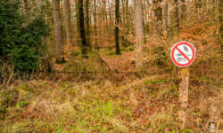 Bitte kein Grünschnitt Bitte kein Grünschnitt