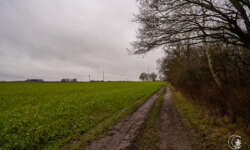 Über die Weite Über die Weite