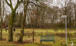 Noch ein Bänkchen Noch ein Bänkchen