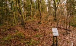 die ersten Hügelgräber die ersten Hügelgräber