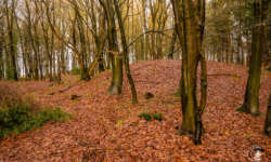 noch mehr Hügelgräber noch mehr Hügelgräber