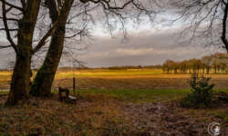 Blick über die Felder Blick über die Felder