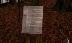 Detailreiche Infotafeln Detailreiche Infotafeln