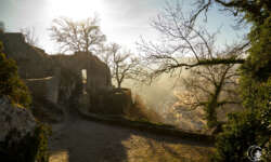Morgennebel an der Burg Hohengundelfingen Morgennebel an der Burg Hohengundelfingen