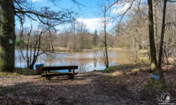 Gemütlicher Pausenplatz Gemütlicher Pausenplatz