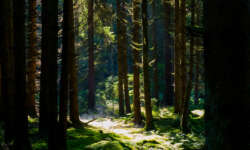 Wandern durch die Teufelsküche Wandern durch die Teufelsküche