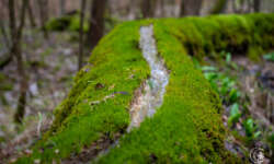 Beeindruckendes Naturschauspiel Beeindruckendes Naturschauspiel