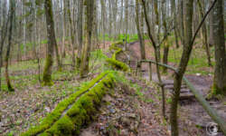 Ein lange Rinne Ein lange Rinne