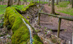 Der Weg an der Steinernen Rinne Der Weg an der Steinernen Rinne