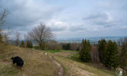 Pfade auf dem Gelben Berg Pfade auf dem Gelben Berg