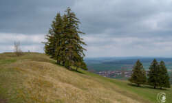 Blick ins Altmühltal Blick ins Altmühltal