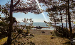 Strand auf Fårö Strand auf Fårö