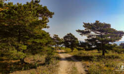 Weg zum Leuchtturm Weg zum Leuchtturm
