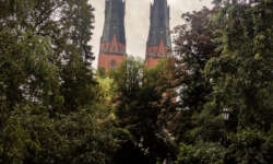 Erster Blick auf den Dom Erster Blick auf den Dom