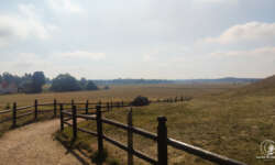 Blick auf die Könige Blick auf die Könige