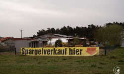 Spargelverkauf wohin man schaut Spargelverkauf wohin man schaut