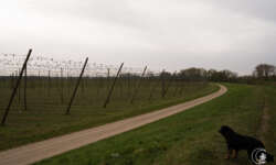 Es gibt auch Hopfen Es gibt auch Hopfen