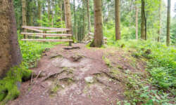 Der erste Bunker Der erste Bunker