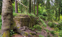 Noch einer Noch einer