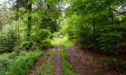 Noch ein paar Pfade Noch ein paar Pfade