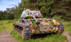 Bunter Panzer im Brander Wald Bunter Panzer im Brander Wald