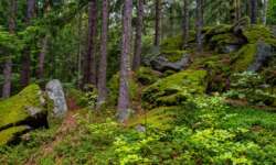 Felsenlandschaft Felsenlandschaft