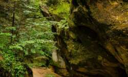 Eingang zur Schlucht Eingang zur Schlucht