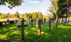 Opfer des ersten Weltkriegs Opfer des ersten Weltkriegs