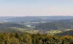 Blick zum Solina-See Blick zum Solina-See