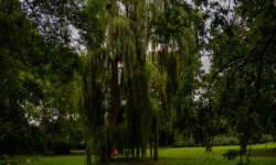 Der kleine Schlossteich Der kleine Schlossteich