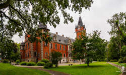 Blick durch die Hecke Blick durch die Hecke
