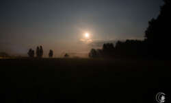 Mondaufgang in Roztocze Mondaufgang in Roztocze