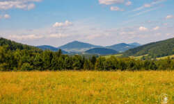 Blick in die Niederen Beskiden Blick in die Niederen Beskiden