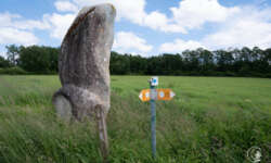 Skulpturenpfad Skulpturenpfad