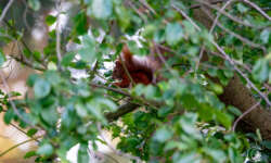 Früher Gast am Stellplatz Früher Gast am Stellplatz