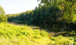 Grünes Paradies Grünes Paradies