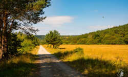 Einsame Natur Einsame Natur