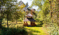 Grillhütte auf dem Weg Grillhütte auf dem Weg