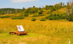 Erste Infotafel Erste Infotafel