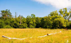 Hier stand eins ein Dorf Hier stand eins ein Dorf