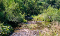 Der kleine Bach im Tal Der kleine Bach im Tal