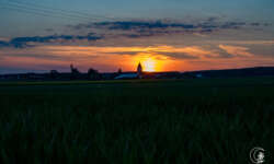 Abend am Landvergnügen-Stellplatz Abend am Landvergnügen-Stellplatz